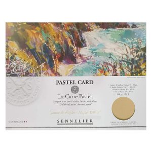 foto di Confezione da 6 "Pastel Card" - carta per pastello 360 g/m² - SENNELIER