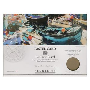 Confezione da 6 fogli “Pastel Card” – carta per pastello 360 g/m² – SENNELIER – Grigio Chiaro