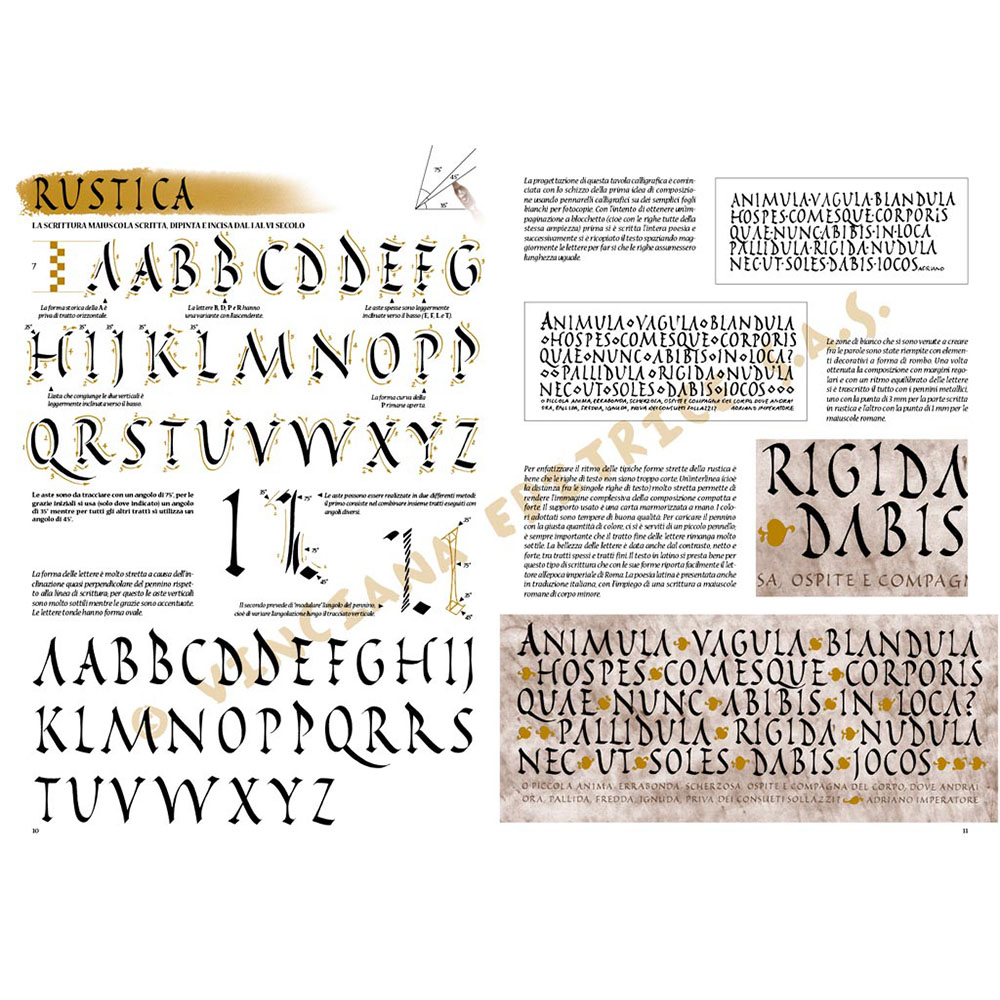 39 – La Calligrafia – Collana Leonardo - 1