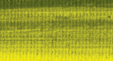 Variante colore 851 Verde bruno dorato