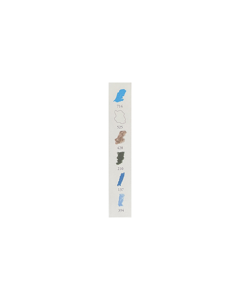 Set da 6 mezzi Pastelli morbidi “à l’écu” – Paesaggio Invernale – SENNELIER - 2