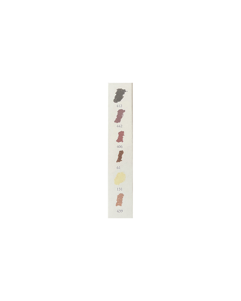 Set da 6 mezzi Pastelli morbidi “à l’écu” – Ritratto tonalità scure – SENNELIER - 2