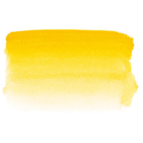 Variante colore 559 Aureolina S4