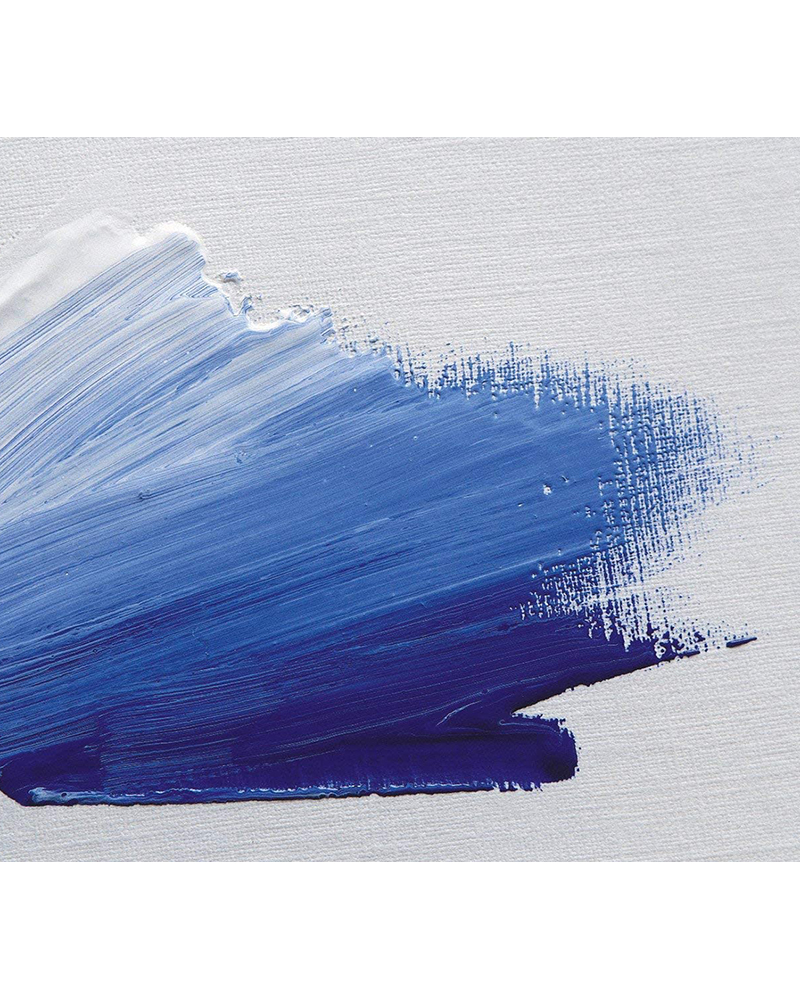 foto di blocco per pittura ad olio foglio interno
