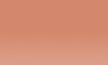 Variante colore Bronze 05