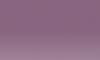 Variante colore Silver Rose 16