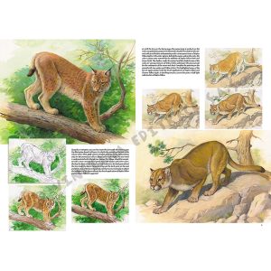 12 – Animali – Collana Leonardo - 2