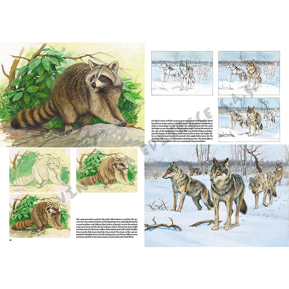 12 – Animali – Collana Leonardo - 5