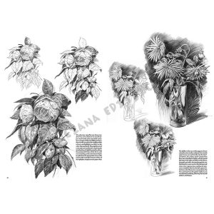 22 – Fiori – Collana Leonardo - 5