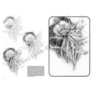 23 – Fiori – Collana Leonardo - 5