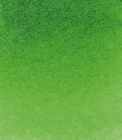 Variante colore Verde Bosco 530 - G2