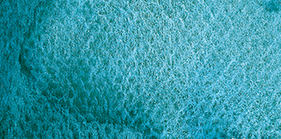 Variante colore Deep Sea Verde 954
