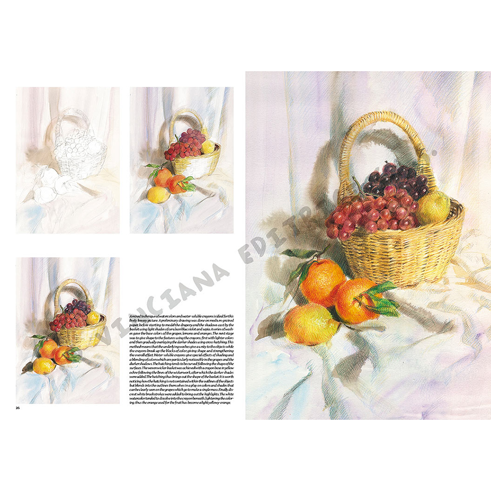 41 – Nature morte – Collana Leonardo