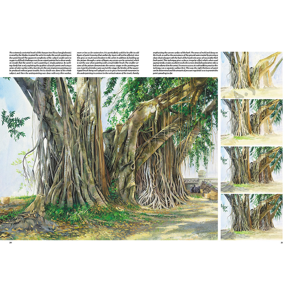 45 – Alberi e foglie – Collana Leonardo