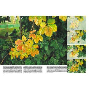 45 – Alberi e foglie – Collana Leonardo