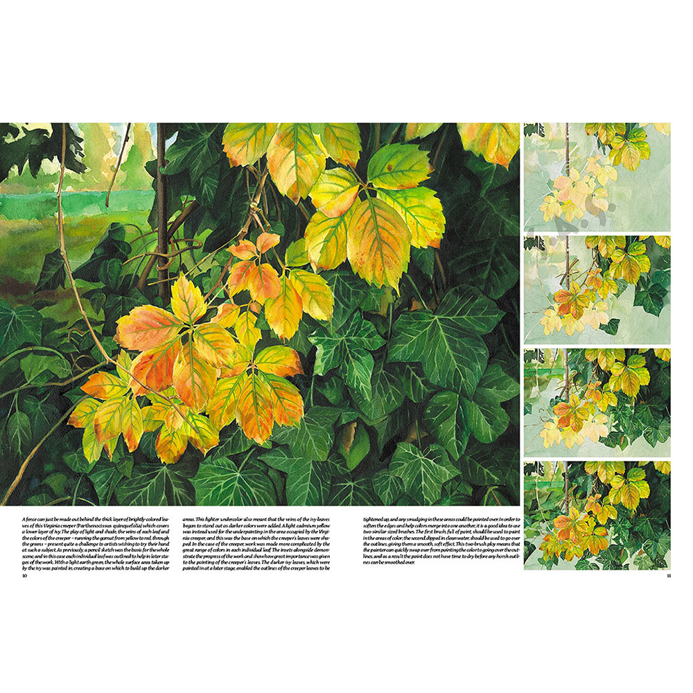 45 – Alberi e foglie – Collana Leonardo