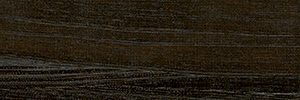 Variante colore Bruno van Dyck 626 - G1