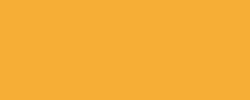 Variante colore Giallo azo scuro 270