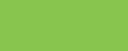 Variante colore Verde giallastro 617