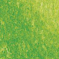 Variante colore Verde chiaro 008