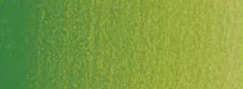 Variante colore 503 Verde vescica permanente S1