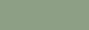 Variante colore 841 Terra verde iridescente S2