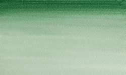 Variante colore 312 Verde di Hooker scuro S1