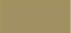 Variante colore 283 Oro S2