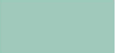 Variante colore 435 Verde oliva chiaro