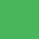 Pantone - 361