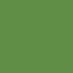 Pantone - 370