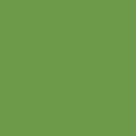 Pantone - 377