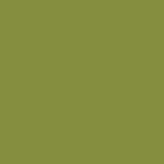 Pantone - 384