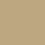 Pantone - 7502