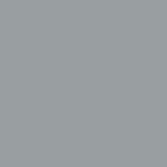Pantone - Cool Grey 5